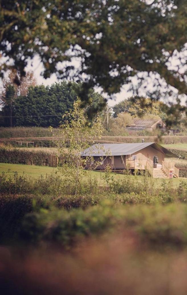 Midleydown Luxury Glamping Hotel Exeter Exterior foto